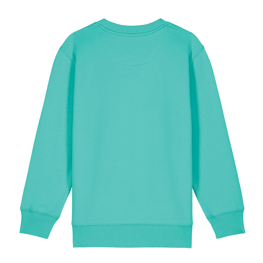 Kate Sutton Buddy Crewneck Mint