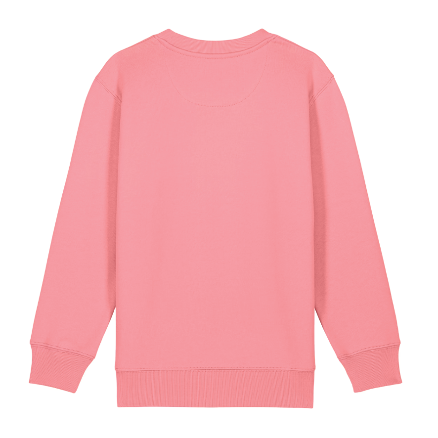Kate Sutton Buddy Crewneck Coral